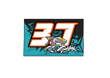 Bandera oficial 37